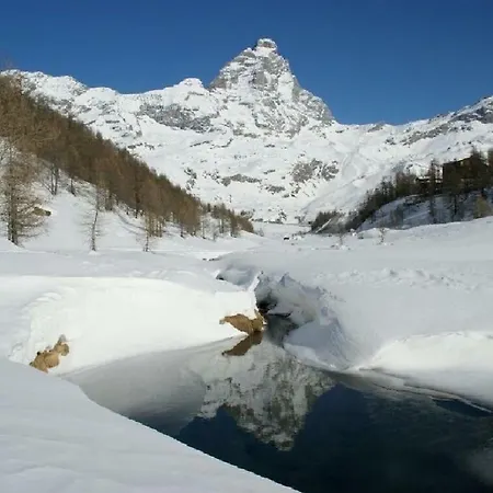 Fagus Cervinia Vda Vacanze In Vetta Cir 0206 *